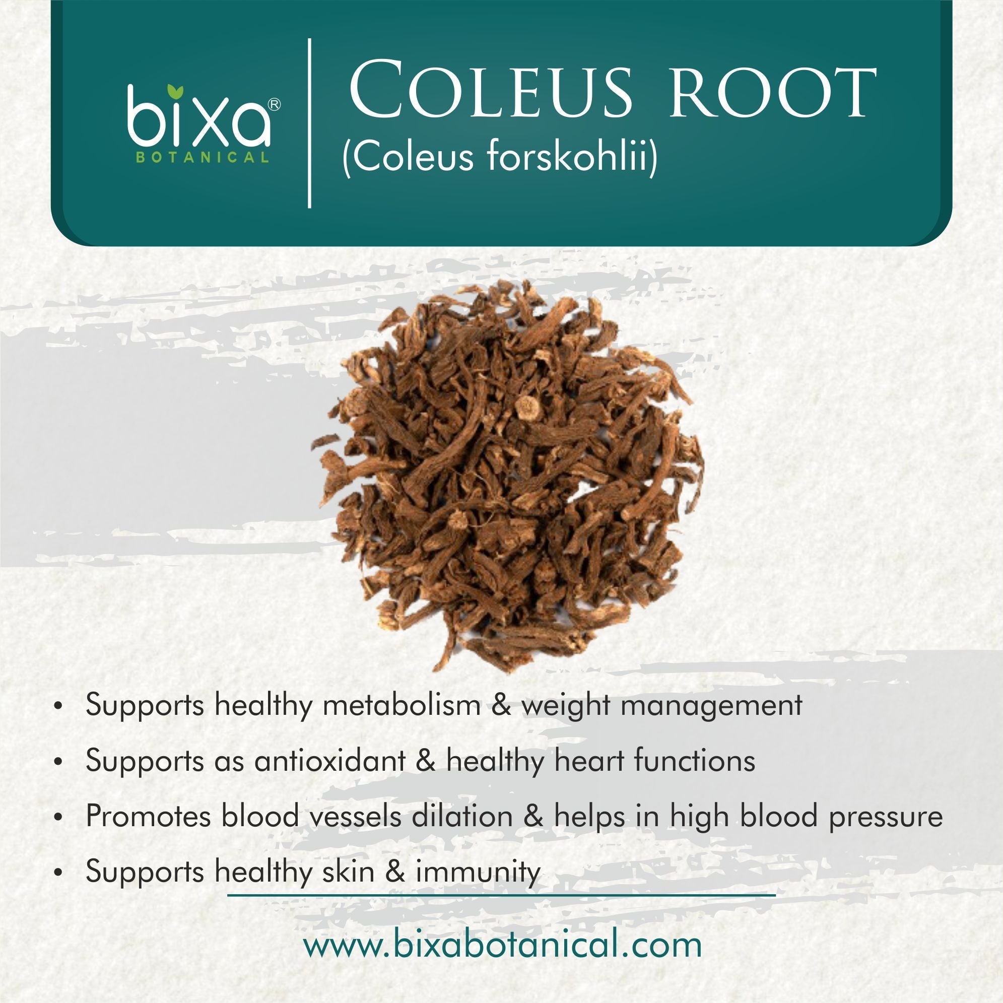 Bixa Botanical Coleus / Gandira Root Powder Coleus forskohlii